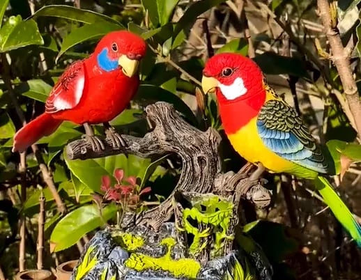 2025 Nové hračky Elektrická baterie Sonic Parrot 🦜